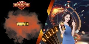Vinwin